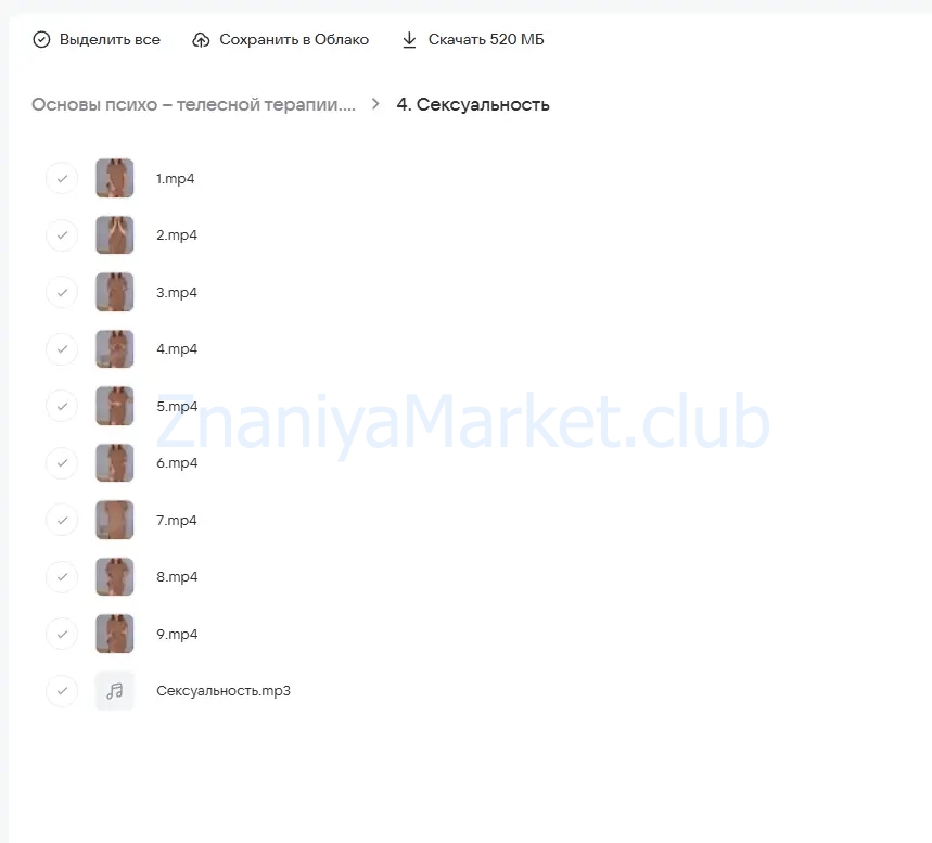 Основы психо – телесной терапии. Поток жизни (Елена Паули) скрин на облаке, фото 2 из 2.