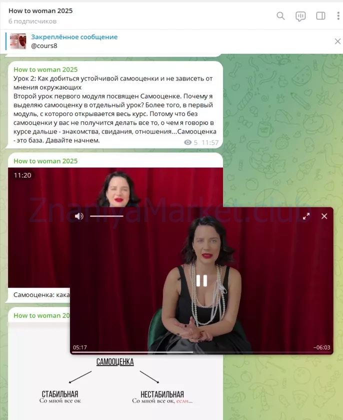 How to woman. Курс по женственности и отношениям. Тариф Вместе. 2025 (Василиса Зинарь) скрин на облаке, фото 2 из 2.