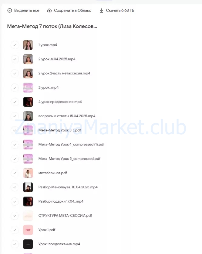 Мета-Метод  7 поток (Лиза Колесова) скрин на облаке, фото 2 из 2.