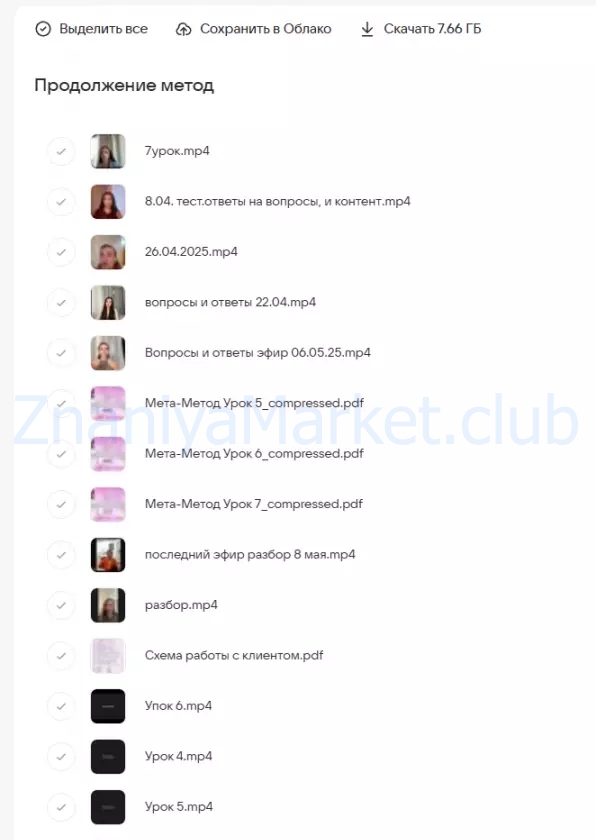 Мета-Метод  7 поток (Лиза Колесова) скрин на облаке, фото 2 из 2.