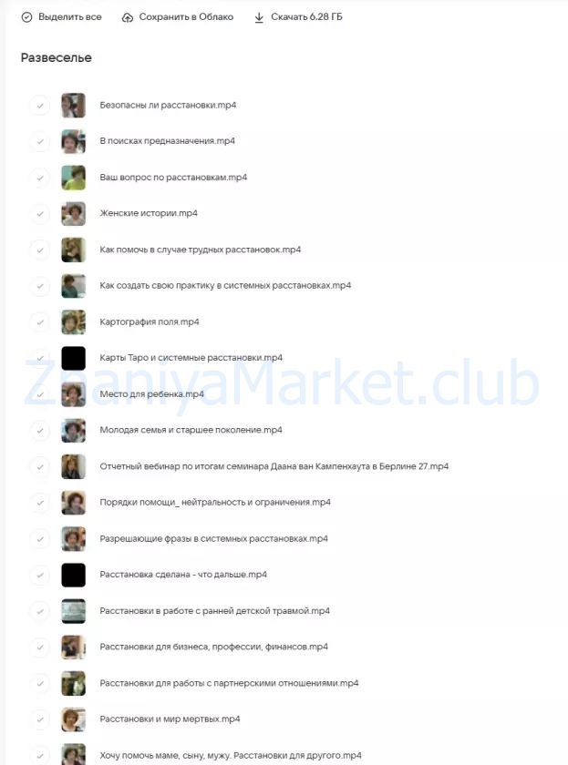 Видеозаписи вебинаров о системных расстановках (Елена Веселаго) скрин на облаке, фото 2 из 2.