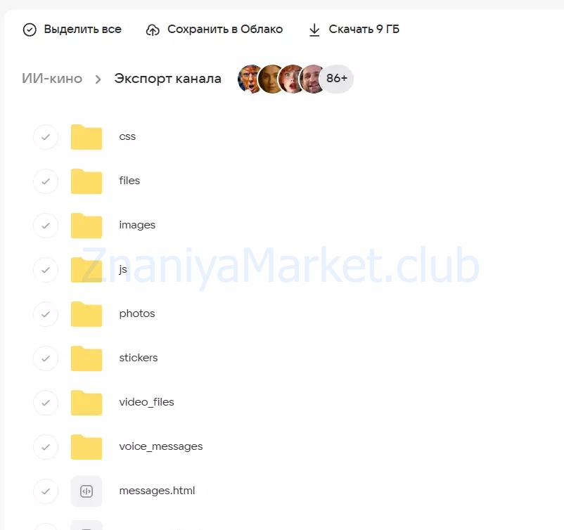 Курс ИИ КИНО 2.0. Тариф Базовый (Егор Апполонов) скрин на облаке, фото 2 из 2.