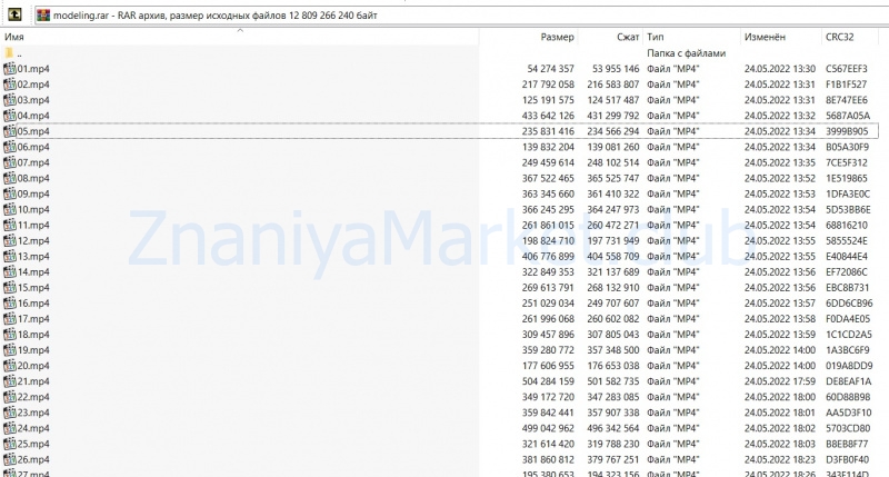 [Videosmile] Супер Cinema 4D PRO (Михаил Бычков) скрин на облаке, фото 2 из 2.