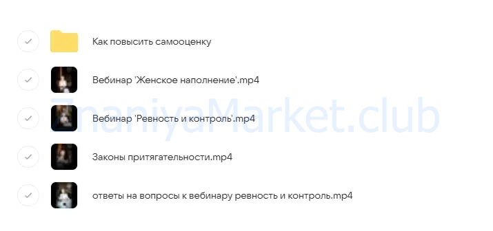 Все вебинары. 4 Вебинара (Мария Логвинова) скрин на облаке, фото 2 из 2.