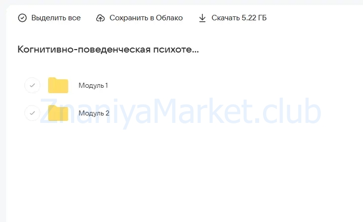 Когнитивно-поведенческая психотерапия в работе с пациентом с личностным расстройством (Бубнова Ирина) скрин на облаке, фото 2 из 2.