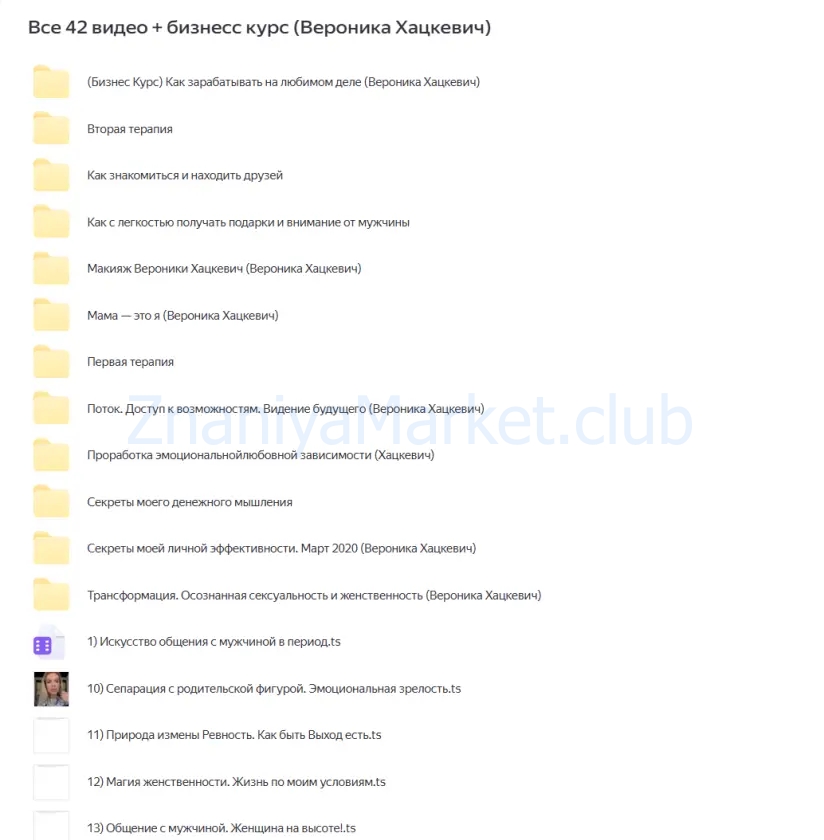 Все 42 видео + бизнесс курс на (365 дней) (Вероника Хацкевич) скрин на облаке, фото 2 из 2.