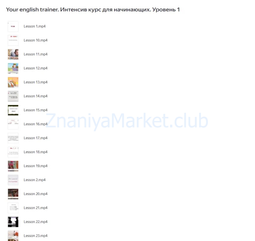 Your english trainer. Видео курс для начинающих. Уровень 1 (Ирина Колосова) скрин на облаке, фото 2 из 2.