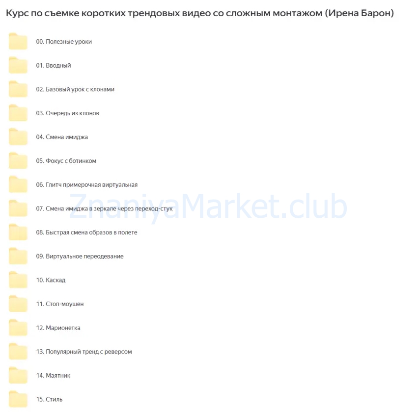 Курс по съемке коротких трендовых видео со сложным монтажом (Ирена Барон) скрин на облаке, фото 2 из 2.