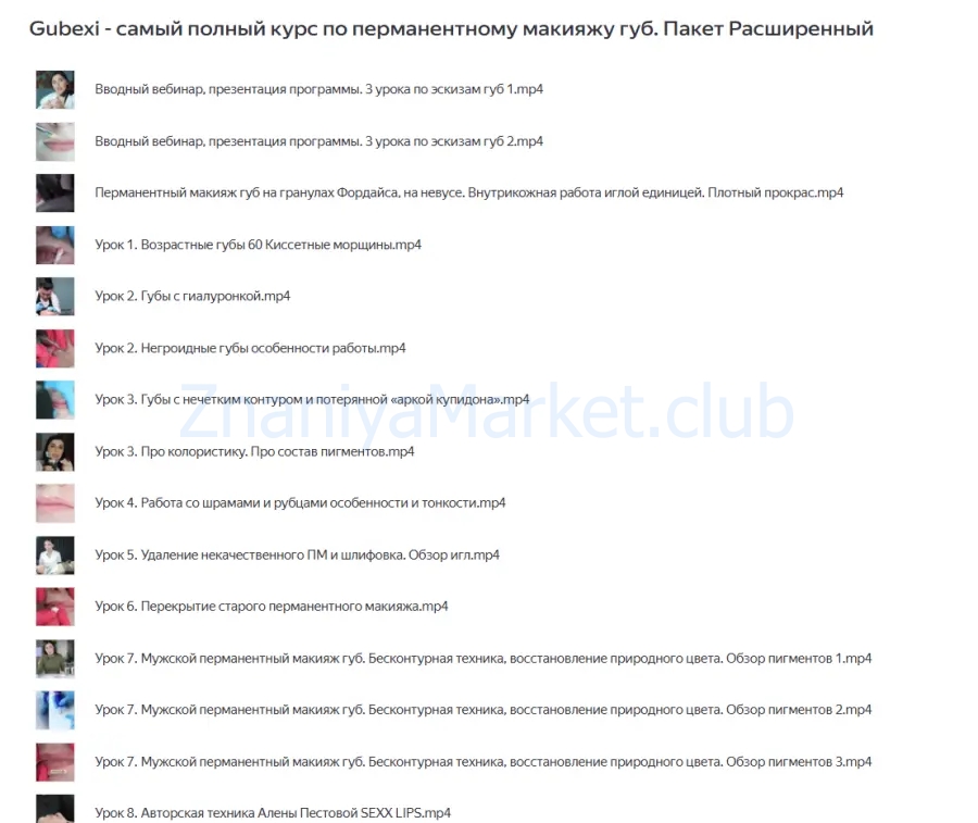 Gubexi — самый полный курс по перманентному макияжу губ. Пакет Расширенный (Алена Пестова) скрин на облаке, фото 2 из 2.