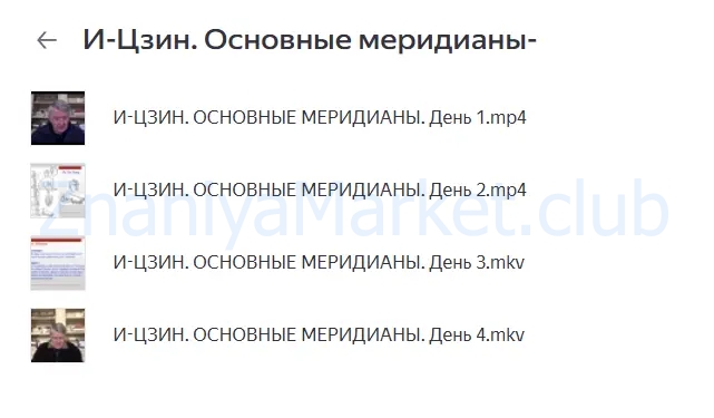 [cranio-acad] И-Цзин. Основные меридианы (Мишель Виноградов) скрин на облаке, фото 2 из 2.