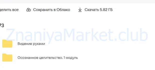 Осознанное целительство. 1 модуль (Наталья Патрушева) скрин на облаке, фото 2 из 2.