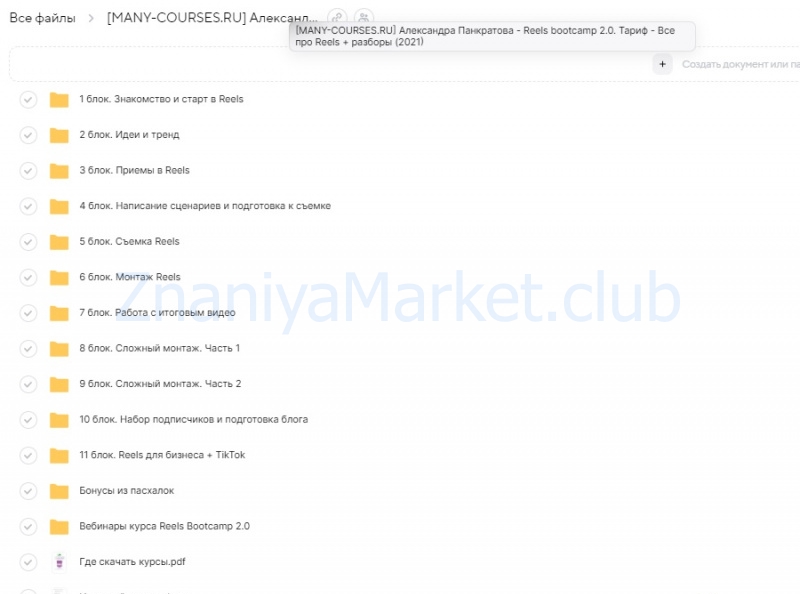 Reels bootcamp 2.0. Тариф Все про Reels + разборы (Александра Панкратова) скрин на облаке, фото 2 из 2.