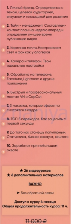 Свет. Камера. Блогер. Тариф для продвинутых (anastasile) скрин на облаке, фото 2 из 2.